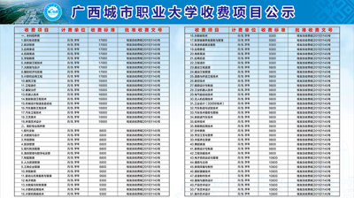 2021年大小球,大小球(中国)收费项目公示