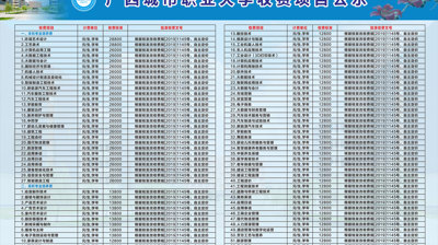 2024年大小球,大小球(中国)收费项目公示